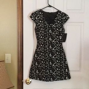 Zara Dress NWT